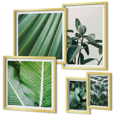 Galeria de parede Inspirações de plantas tropicais