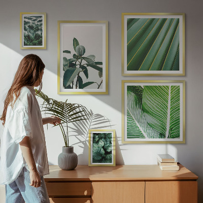 Galeria de parede Inspirações de plantas tropicais