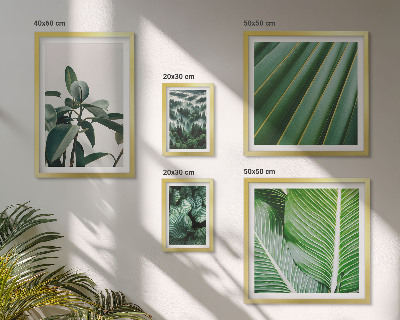 Galeria de parede Inspirações de plantas tropicais