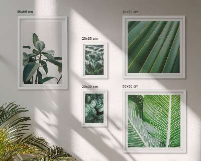 Galeria de parede Inspirações de plantas tropicais