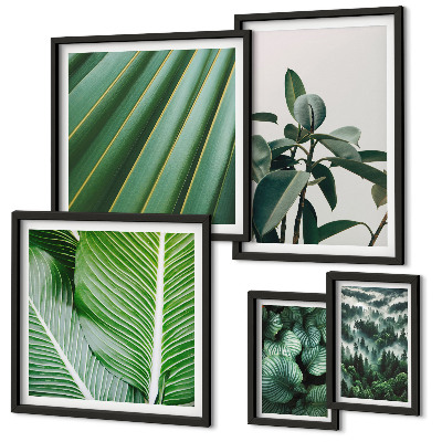 Galeria de parede Inspirações de plantas tropicais
