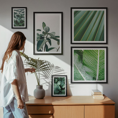 Galeria de parede Inspirações de plantas tropicais