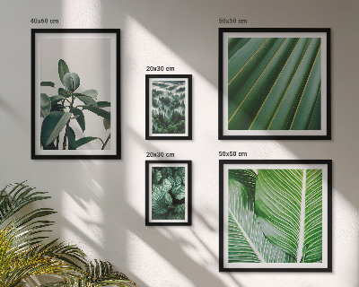 Galeria de parede Inspirações de plantas tropicais