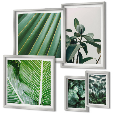 Galeria de parede Inspirações de plantas tropicais