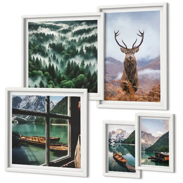 Galeria de quadros para parede com temas de natureza animais selvagens e montanhas