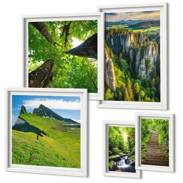 Conjunto de 5 quadros com moldura com estampas de paisagens verdes e trilhas na natureza