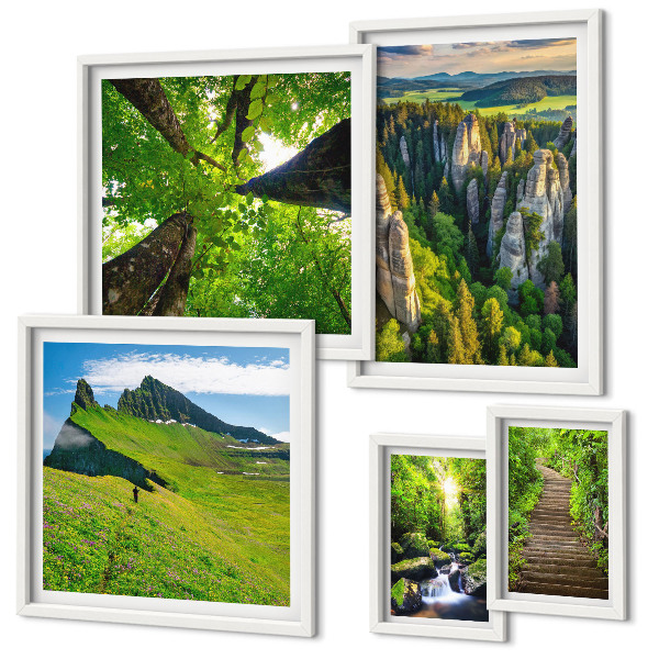 Conjunto de 5 quadros com moldura Paisagens verdes, trilhas na natureza
