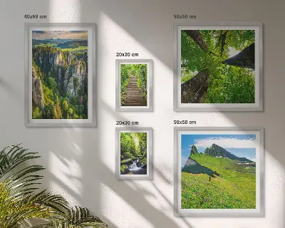 Conjunto de 5 quadros com moldura com estampas de paisagens verdes e trilhas na natureza