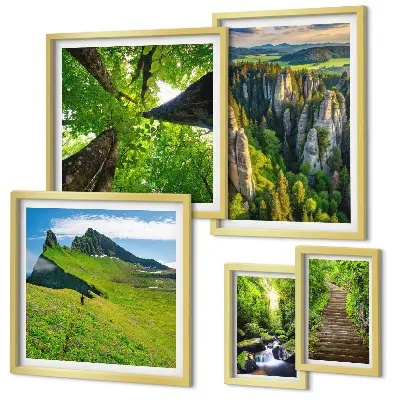 Conjunto de 5 quadros com moldura com estampas de paisagens verdes e trilhas na natureza