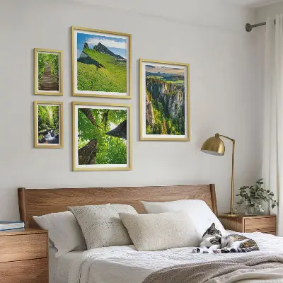 Conjunto de 5 quadros com moldura com estampas de paisagens verdes e trilhas na natureza