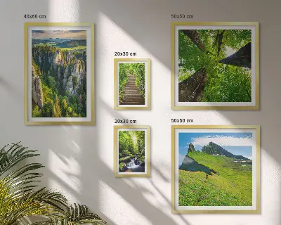 Conjunto de 5 quadros com moldura com estampas de paisagens verdes e trilhas na natureza