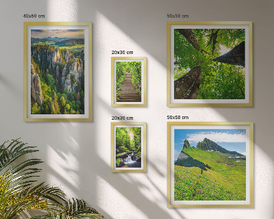 Conjunto de 5 quadros com moldura Paisagens verdes, trilhas na natureza