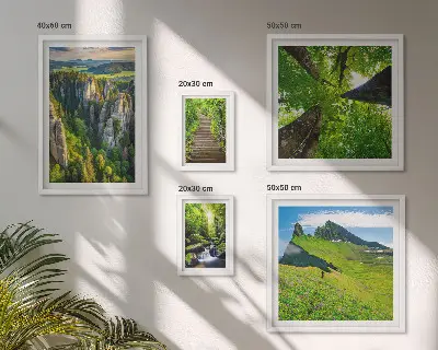 Conjunto de 5 quadros com moldura com estampas de paisagens verdes e trilhas na natureza