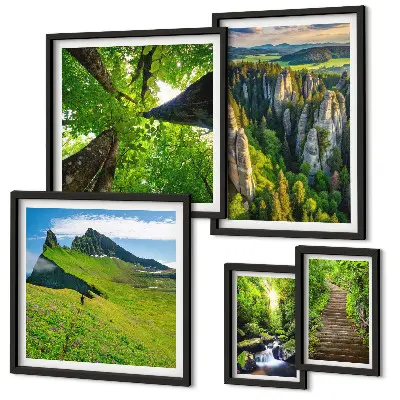 Conjunto de 5 quadros com moldura com estampas de paisagens verdes e trilhas na natureza
