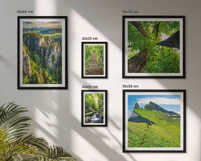 Conjunto de 5 quadros com moldura com estampas de paisagens verdes e trilhas na natureza