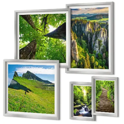 Conjunto de 5 quadros com moldura com estampas de paisagens verdes e trilhas na natureza