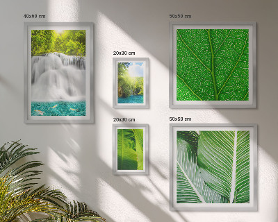 Parede galeria de quadros Cachoeiras de palmeiras tropicais