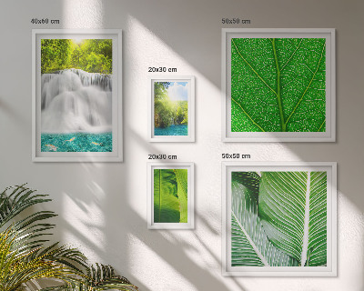 Parede galeria de quadros Cachoeiras de palmeiras tropicais