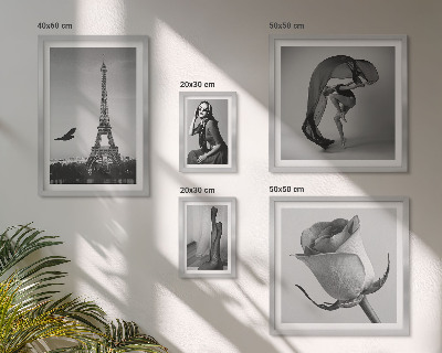 Conjunto de 5 quadros com moldura Elegante Paris em preto e branco