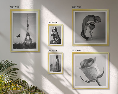 Conjunto de 5 quadros com moldura Elegante Paris em preto e branco