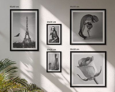 Conjunto de 5 quadros com moldura Elegante Paris em preto e branco
