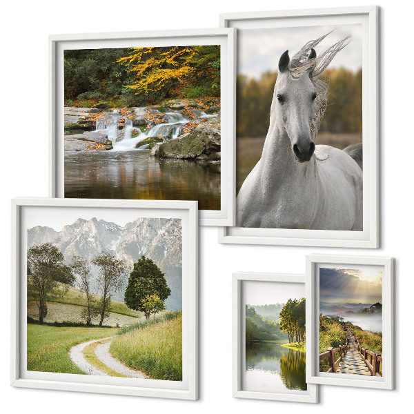 Galeria de parede Paisagens Paisagens Cavalo