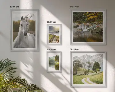Galeria de parede paisagens com cavalos