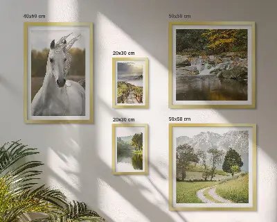 Galeria de parede paisagens com cavalos
