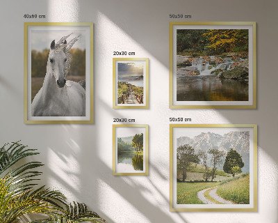 Galeria de parede Paisagens Paisagens Cavalo