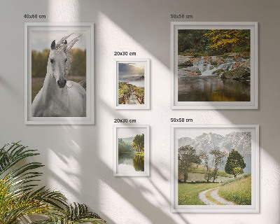 Galeria de parede Paisagens Paisagens Cavalo
