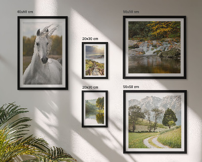 Galeria de parede Paisagens Paisagens Cavalo