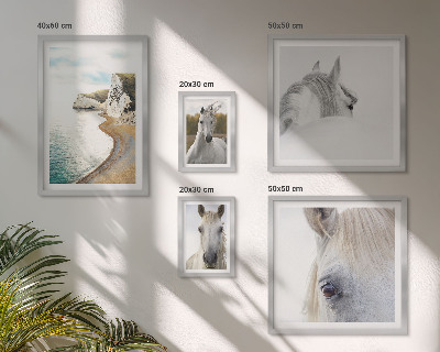 Conjunto de 5 quadros com moldura Cavalos praia natureza minimalismo