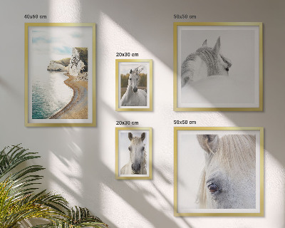 Conjunto de 5 quadros com moldura Cavalos praia natureza minimalismo