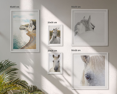 Conjunto de 5 quadros com moldura Cavalos praia natureza minimalismo