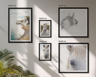 Conjunto de 5 quadros com moldura Cavalos praia natureza minimalismo