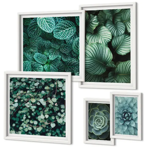Conjunto de 5 quadros decorativos de folhas de plantas suculentas da natureza