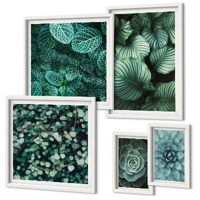 Conjunto de 5 quadros decorativos Folhas de plantas suculentas natureza