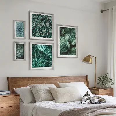Conjunto de 5 quadros decorativos de folhas de plantas suculentas da natureza
