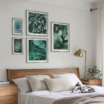 Conjunto de 5 quadros decorativos Folhas de plantas suculentas natureza