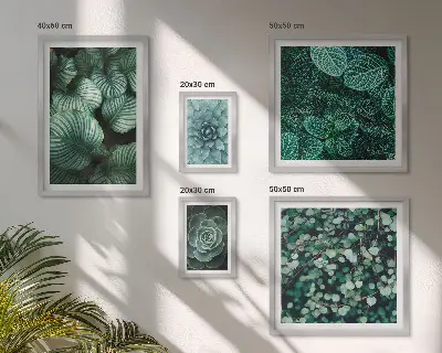Conjunto de 5 quadros decorativos de folhas de plantas suculentas da natureza