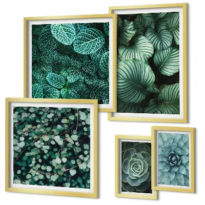 Conjunto de 5 quadros decorativos de folhas de plantas suculentas da natureza
