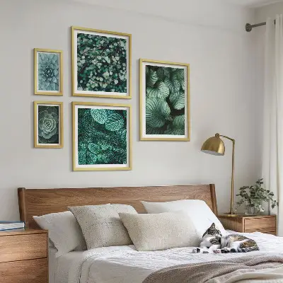 Conjunto de 5 quadros decorativos de folhas de plantas suculentas da natureza
