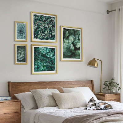 Conjunto de 5 quadros decorativos Folhas de plantas suculentas natureza