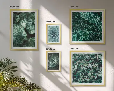 Conjunto de 5 quadros decorativos de folhas de plantas suculentas da natureza