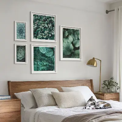 Conjunto de 5 quadros decorativos de folhas de plantas suculentas da natureza