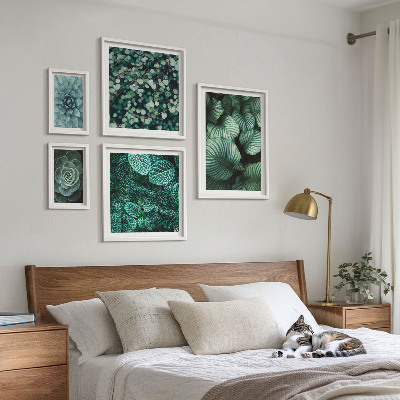 Conjunto de 5 quadros decorativos Folhas de plantas suculentas natureza