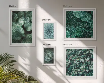 Conjunto de 5 quadros decorativos de folhas de plantas suculentas da natureza