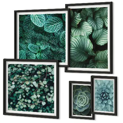 Conjunto de 5 quadros decorativos de folhas de plantas suculentas da natureza