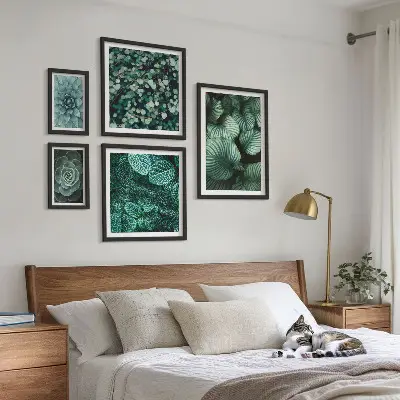 Conjunto de 5 quadros decorativos de folhas de plantas suculentas da natureza