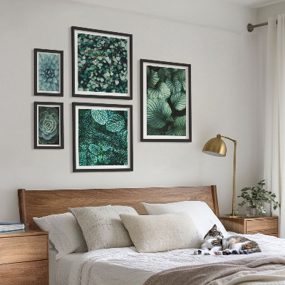 Conjunto de 5 quadros decorativos Folhas de plantas suculentas natureza